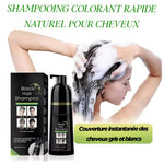 SHAMPOING COLORANT NATUREL 2 EN 1